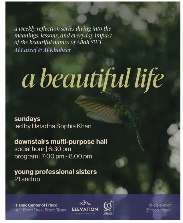 a beautiful life