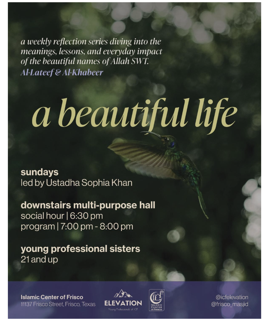 a beautiful life